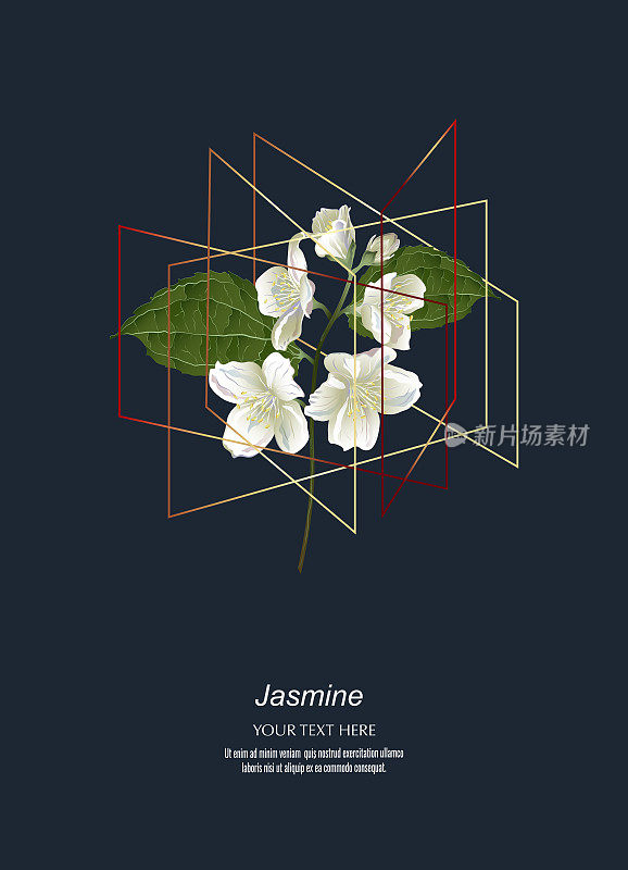 Jasmine flowers in golden polygon geometric cube